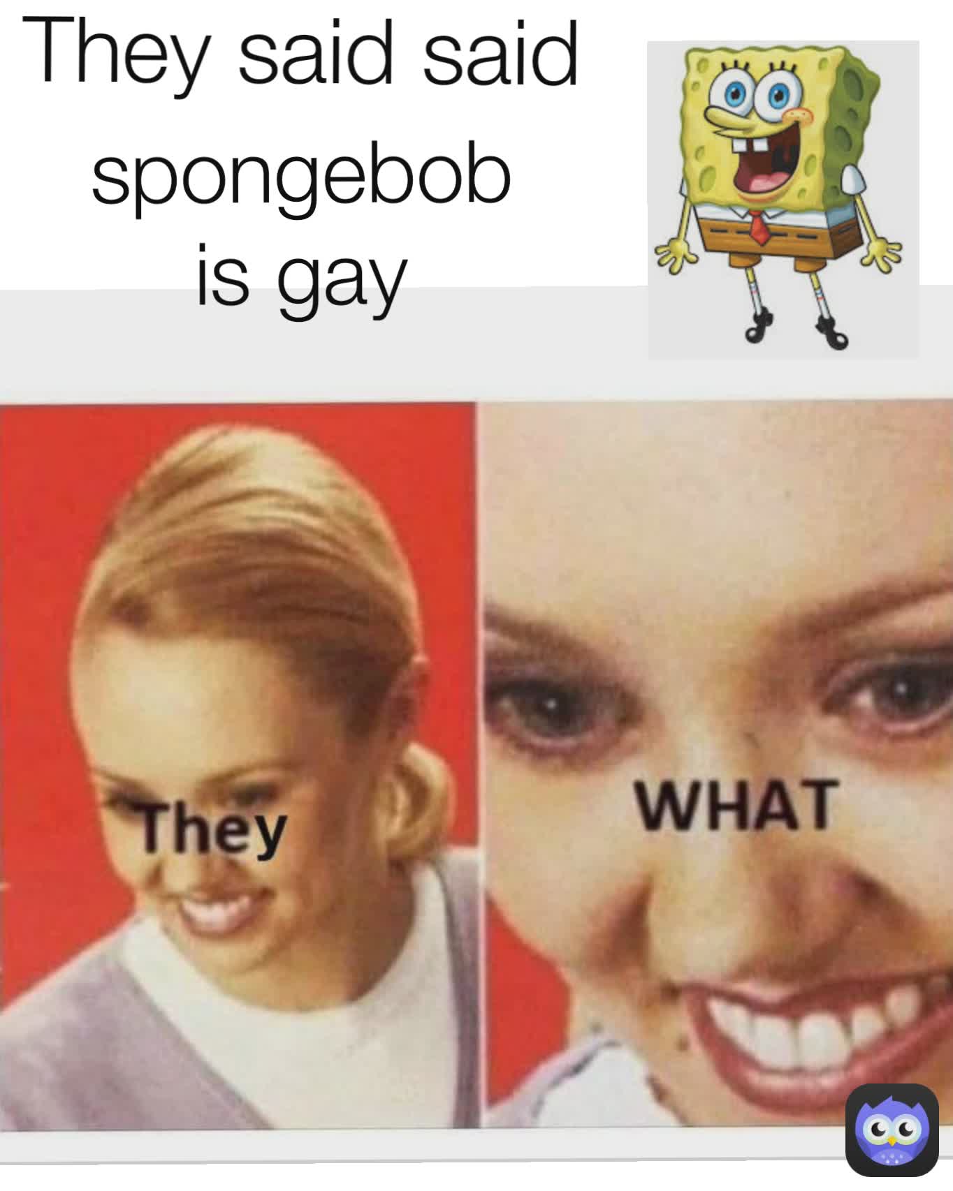 spongebob is gay spongebob is gay They said said 
 spongebob is gay
