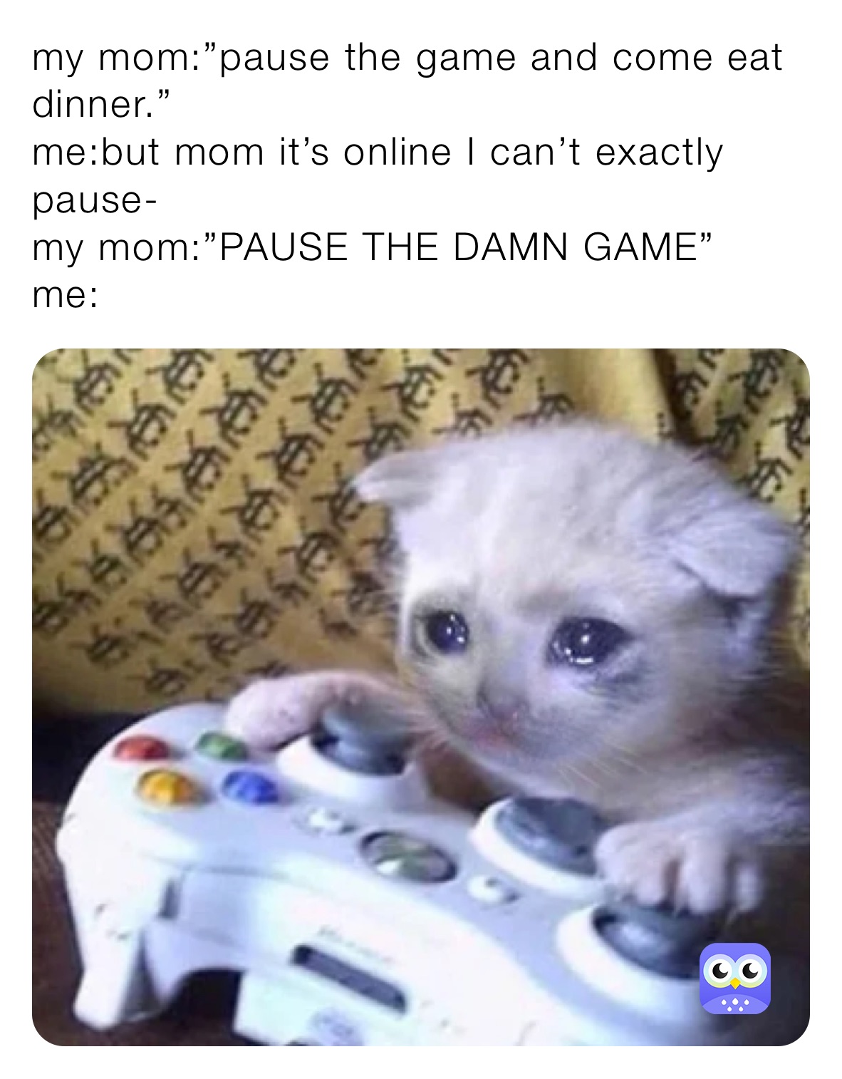 my mom:”pause the game and come eat dinner.”
me:but mom it’s online I can’t exactly pause-
my mom:”PAUSE THE DAMN GAME”
me: