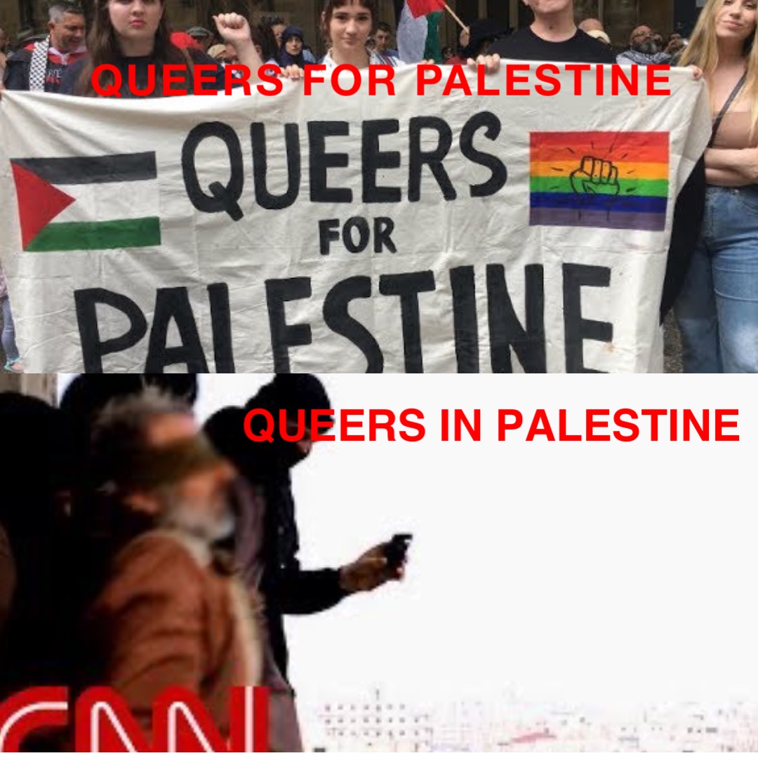 QUEERS FOR PALESTINE QUEERS IN PALESTINE