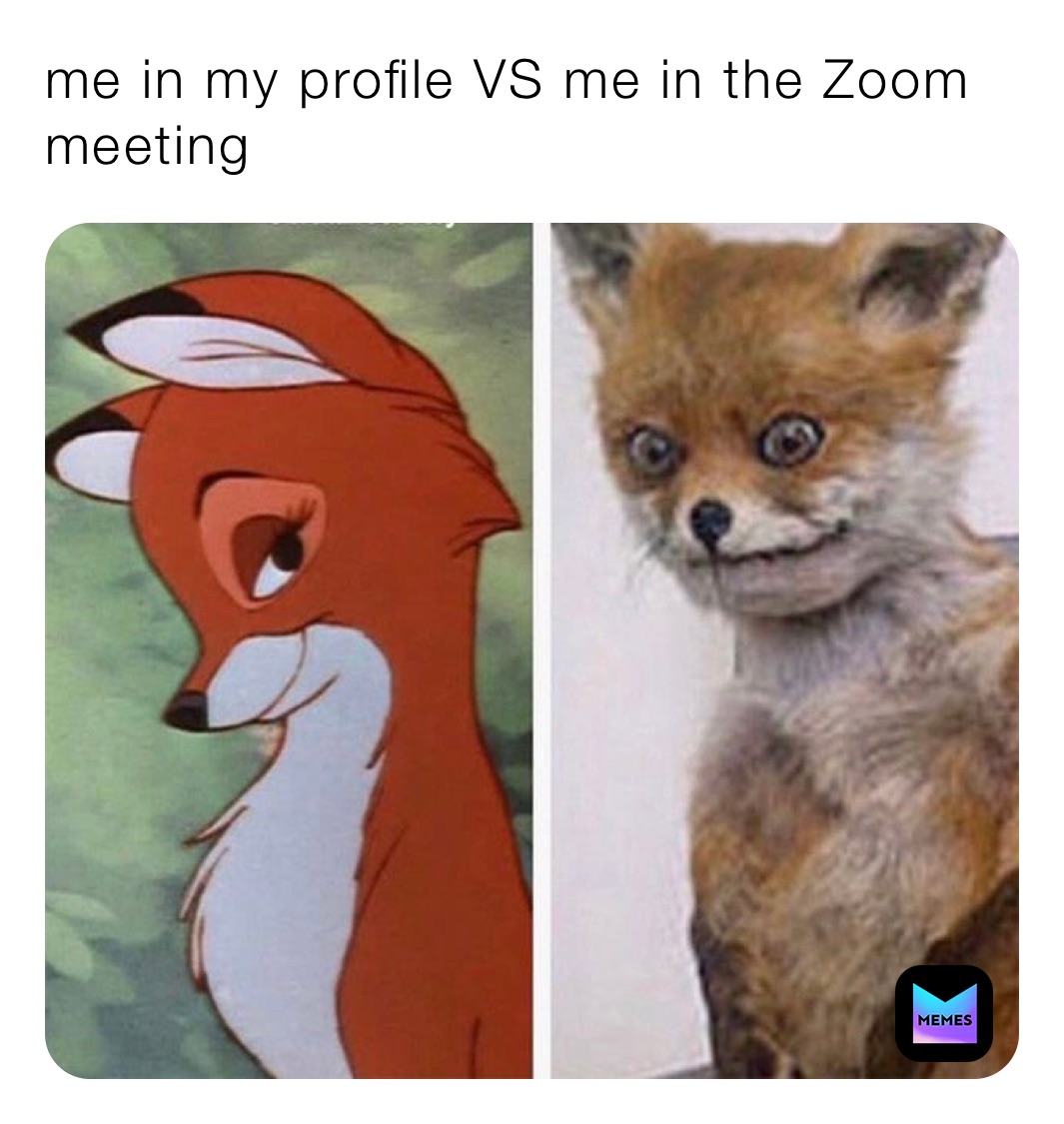 me in my profile VS me in the Zoom meeting 