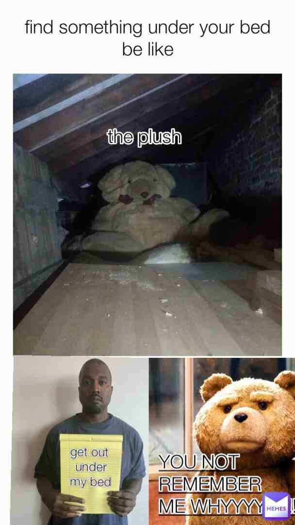 Bear teddy be like