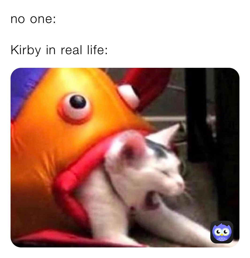 no one:

Kirby in real life: