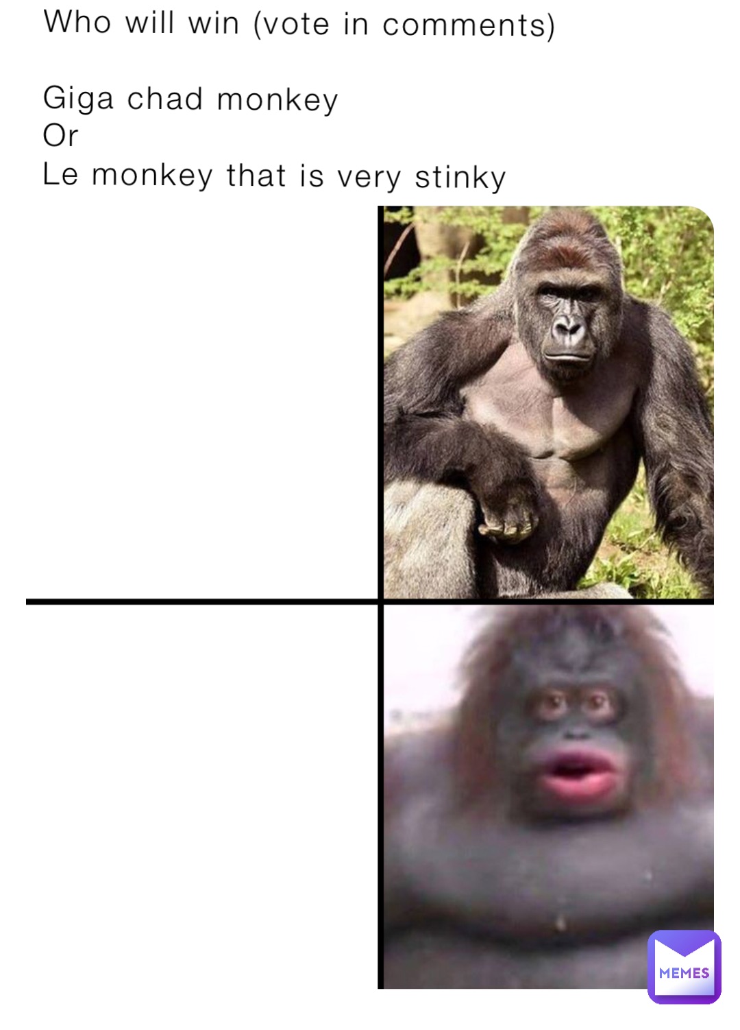 Who will win (vote in comments) Giga chad monkey Or Le monkey that