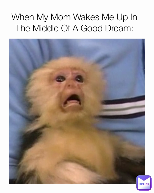 Meme by potato_.memer