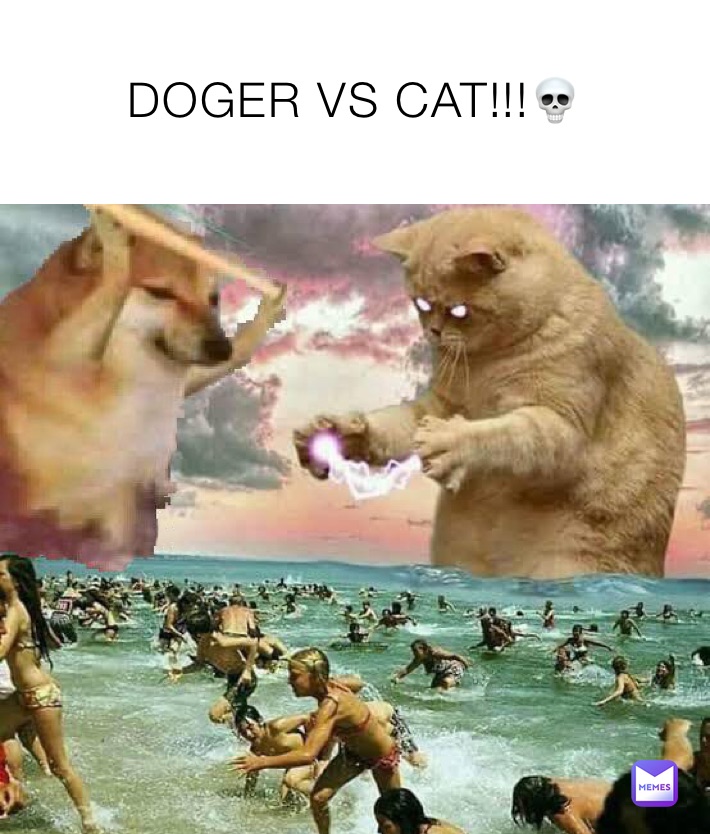 DOGER VS CAT!!!💀