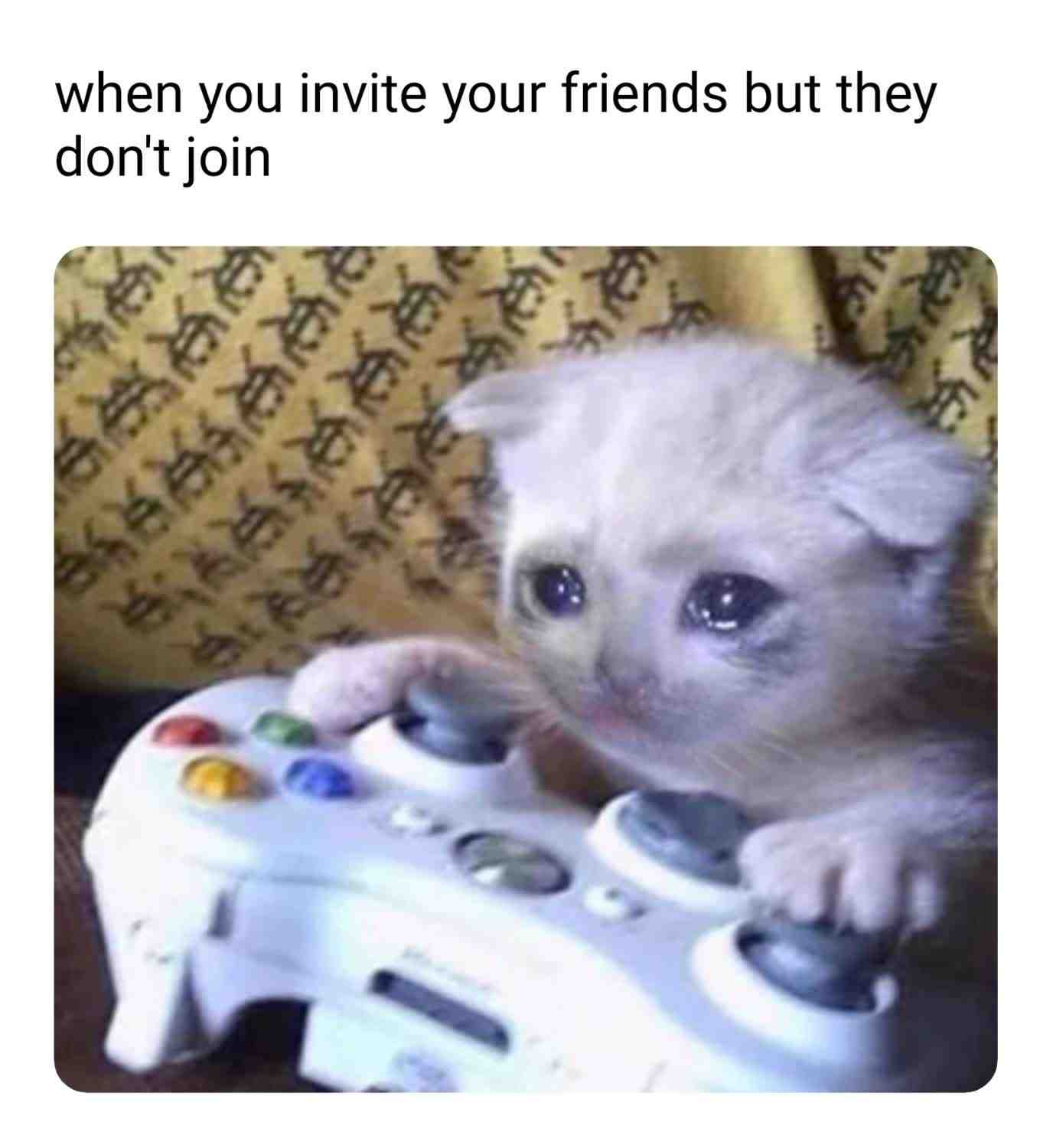 Meme shared by @jonmasterton1988