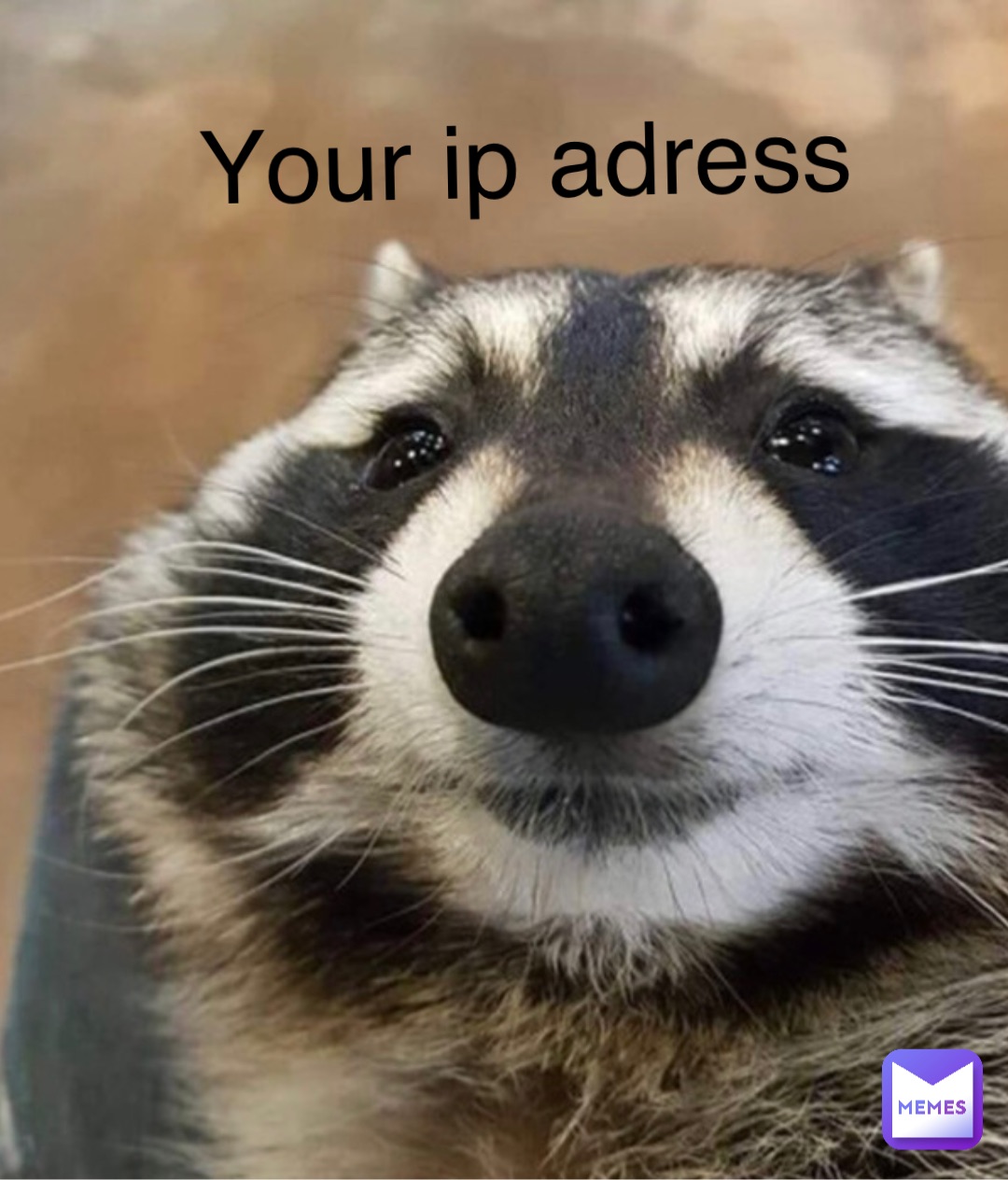 Double tap to edit Your ip adress