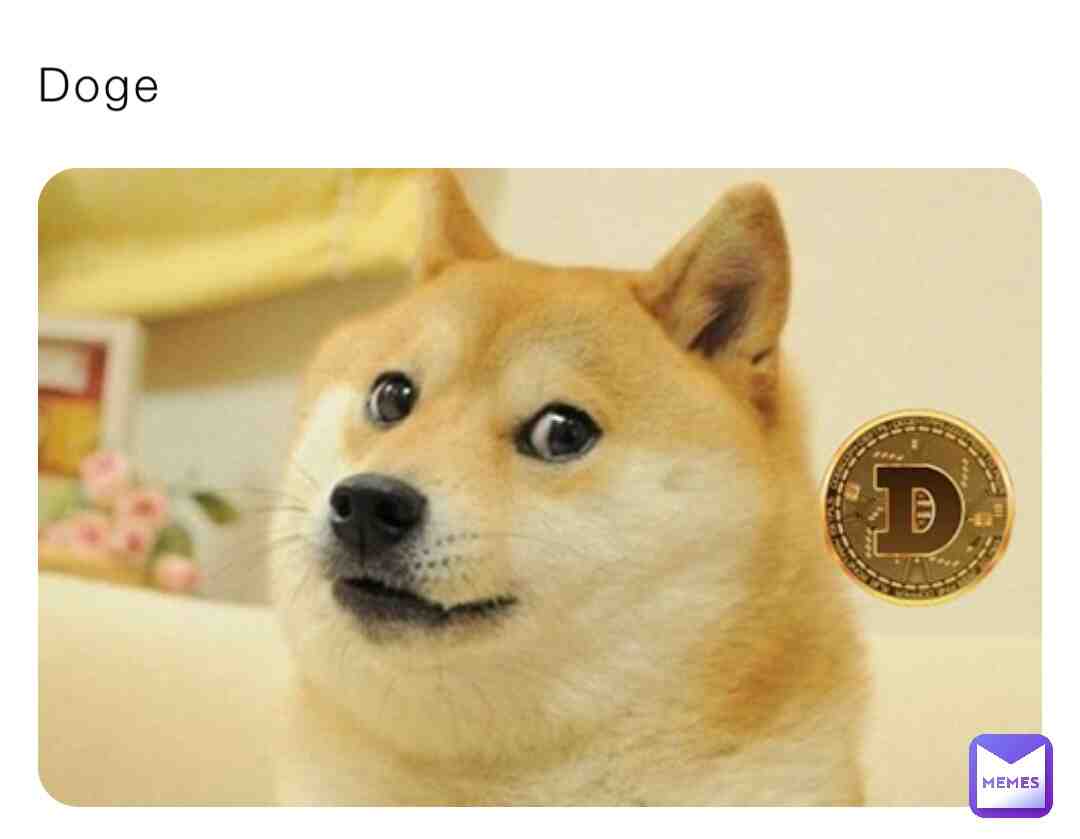 Doge