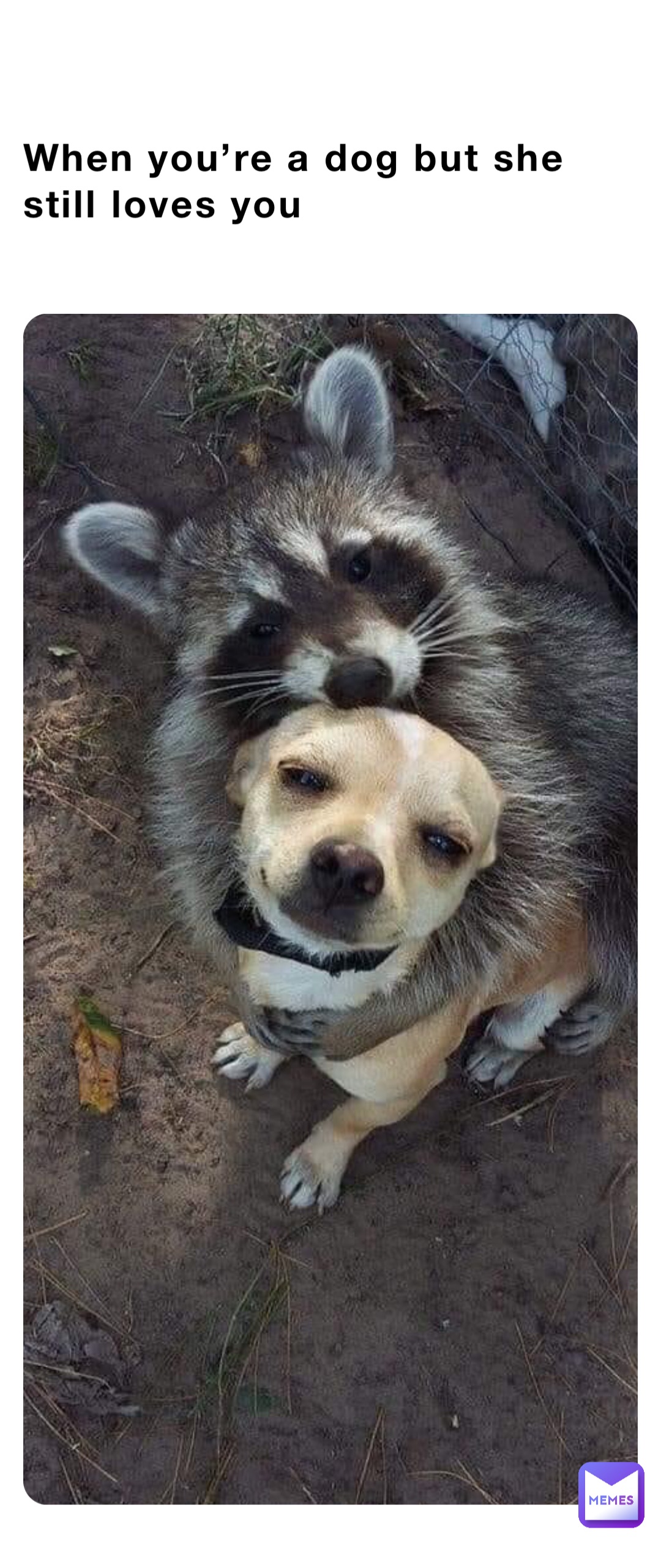 When you’re a dog but she still loves you