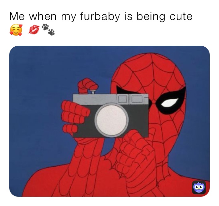 Me when my furbaby is being cute 🥰 💋🐾