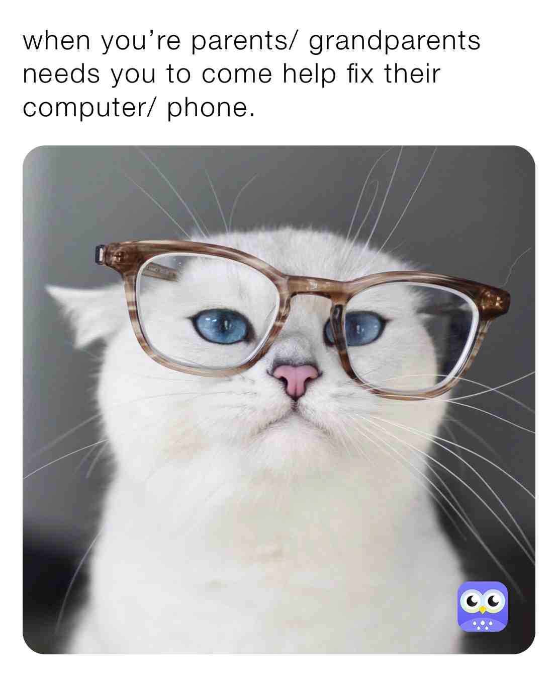 #RelateableMemes #CatMemes #FamilyMemes
