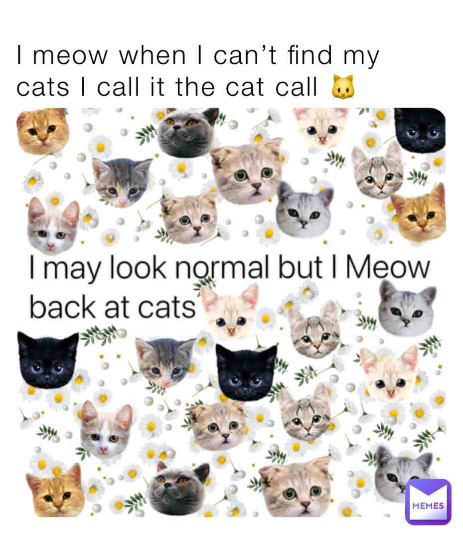 #relateable #CatMemes #PetMemes