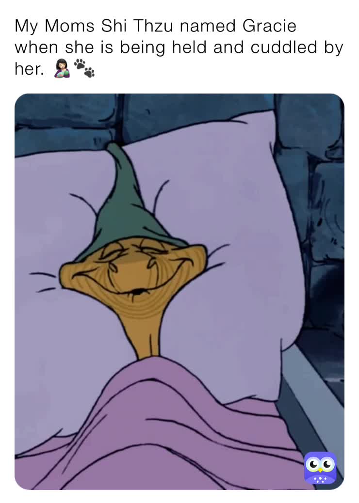 #petmemes  #familymemes  #disneymemes
