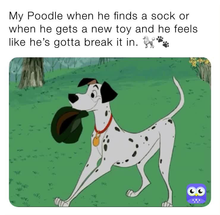 #petmemes  #relateablememes #DisneyMemes