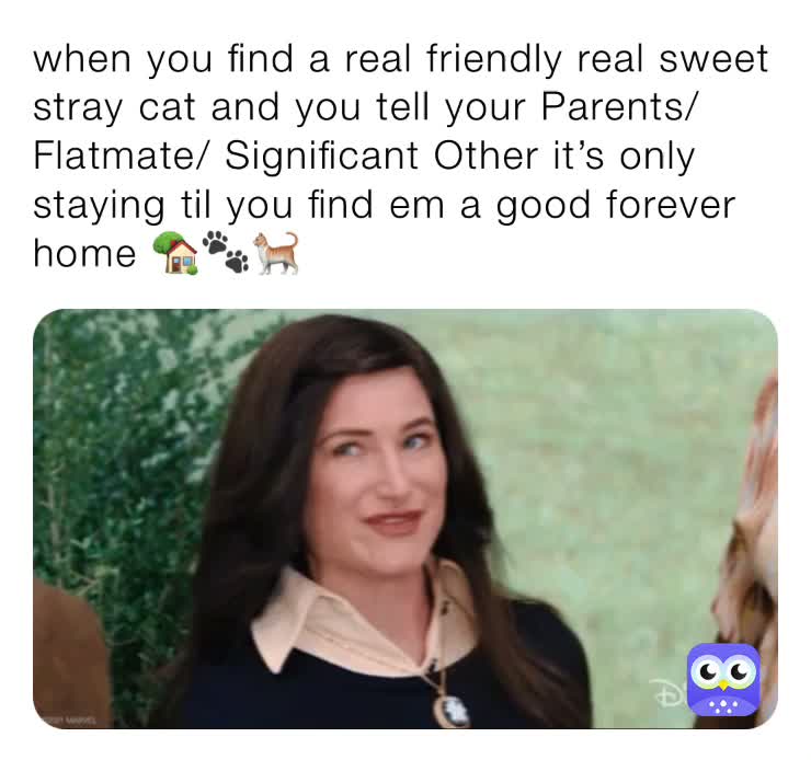 #RelateableMemes #MarvelMemes #CatMemes