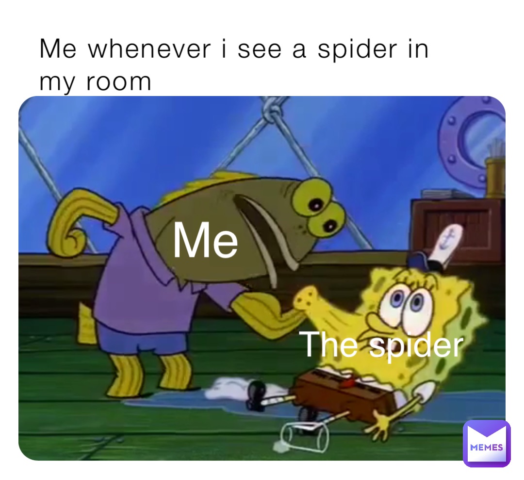 me-whenever-i-see-a-spider-in-my-room-me-the-spider-memes-okayy-memes