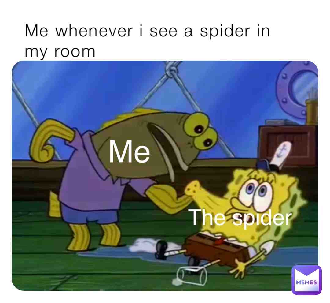When i see a spider in my room