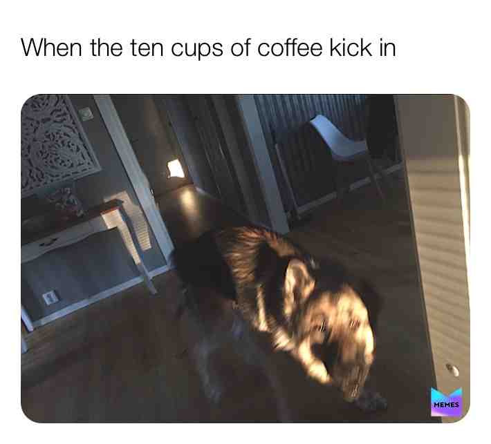 The truth 
Follow our ig: @canine.memes 
 #memes  #dogs