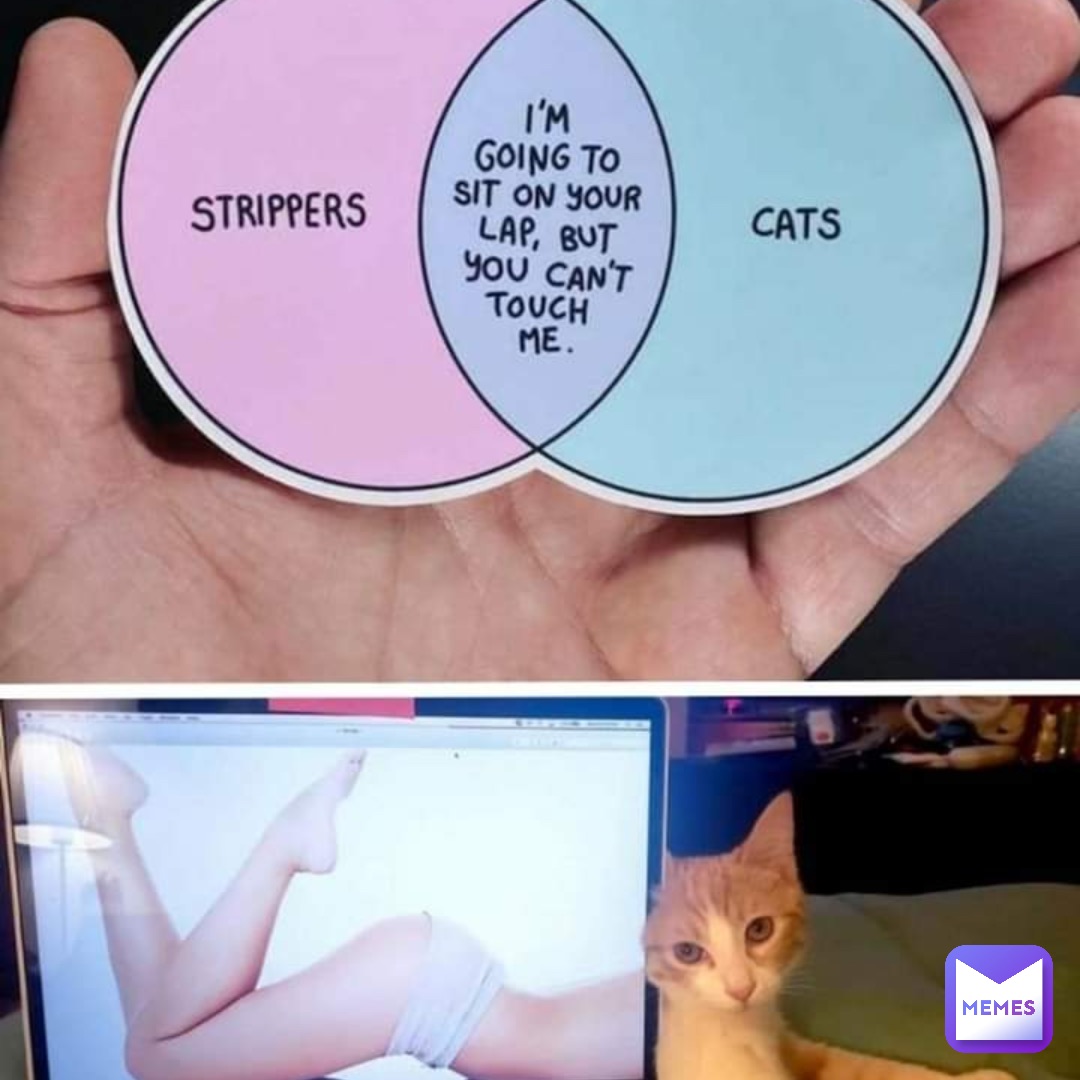 Meme by ashly-marino