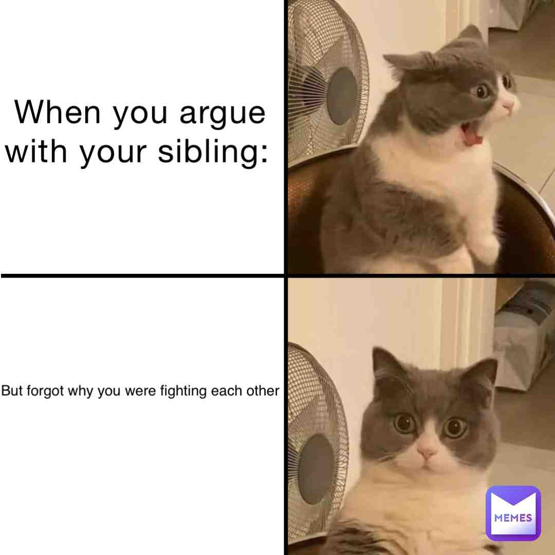Meme preview