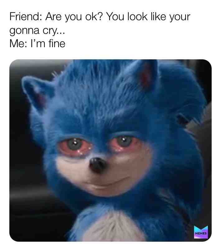 #imfine #meme #memes #bro