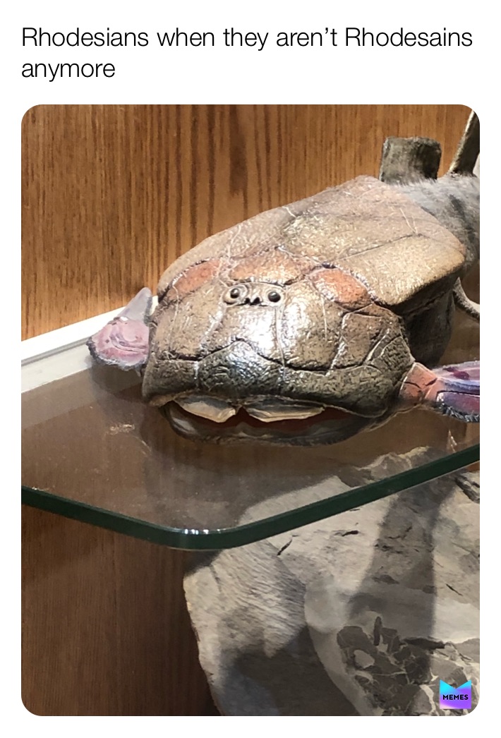 Meme by rhodesiagang