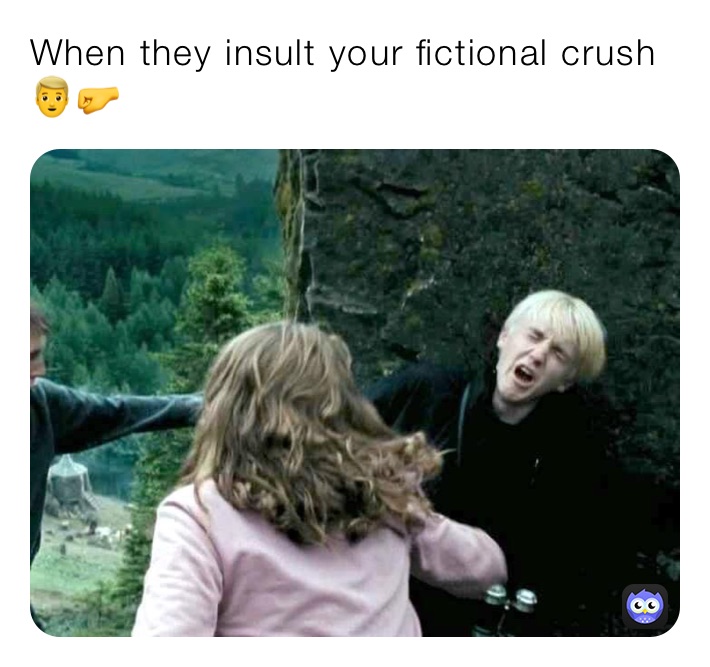 When they insult your fictional crush 👱‍♂️🤛