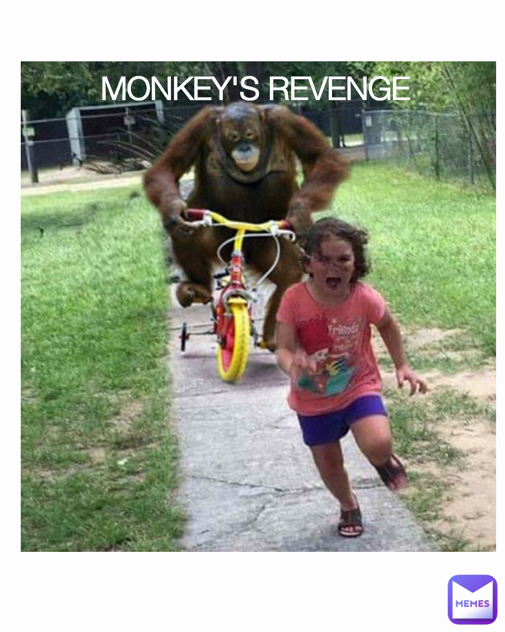 MONKEY'S REVENGE 