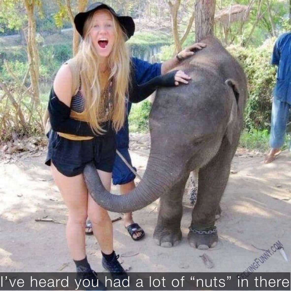 I’ve heard you had a lot of “nuts” in there