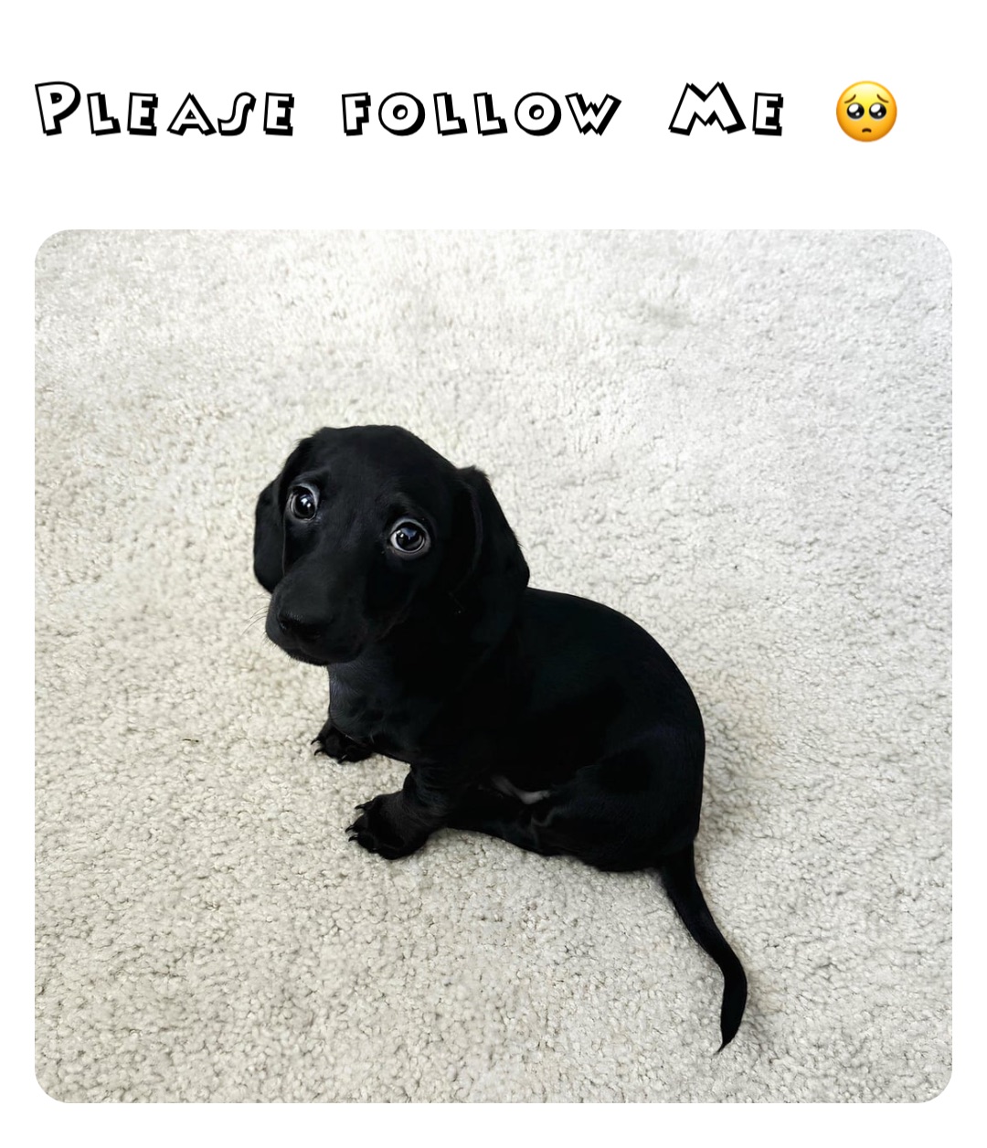 Please follow Me 🥺