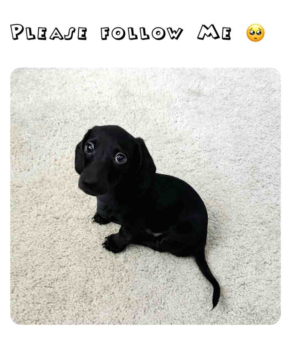 Please