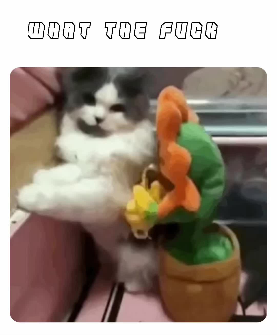 TF