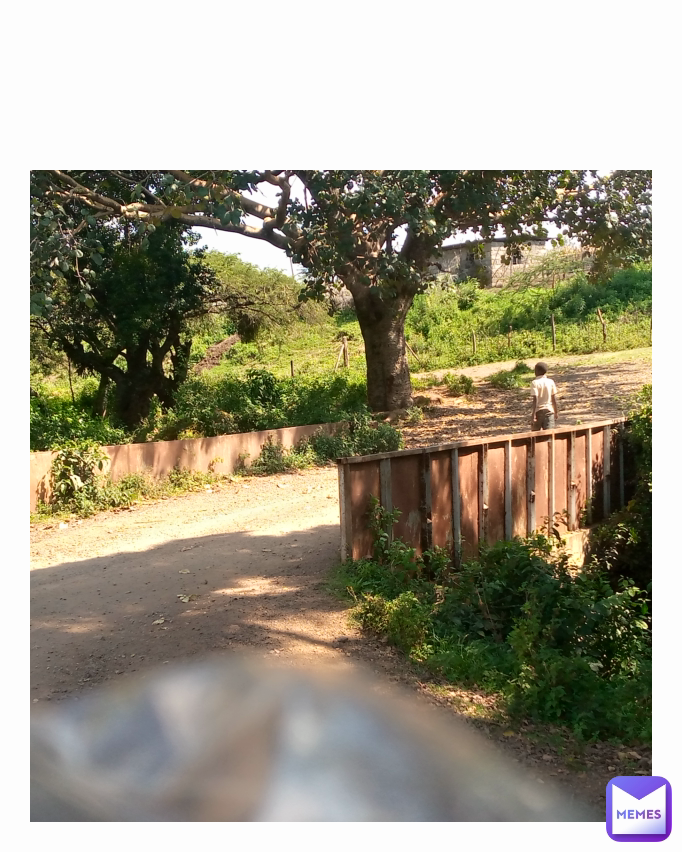 Meme by kingsmainamsstevemusic