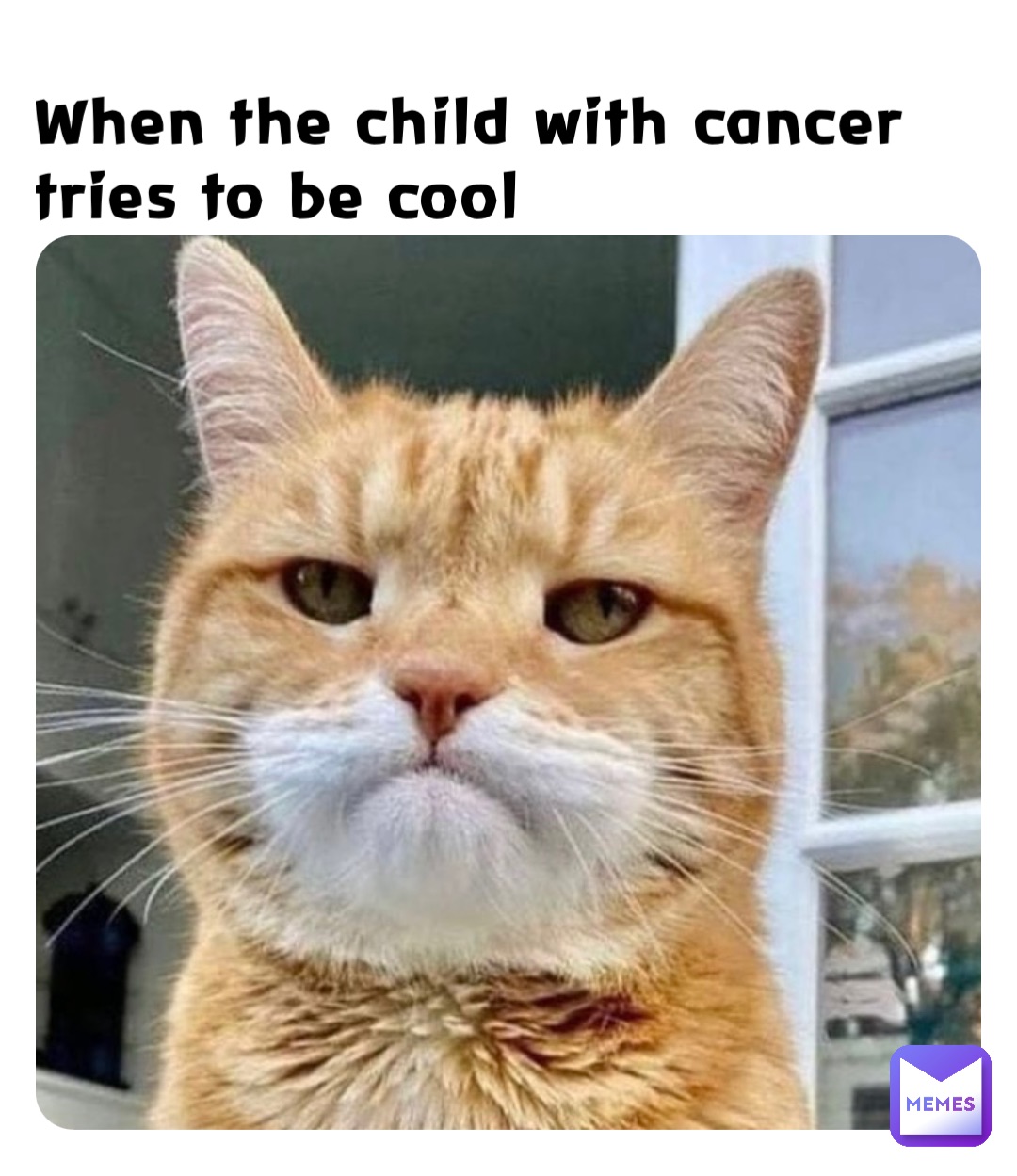 Meme by Rapture_the_kid