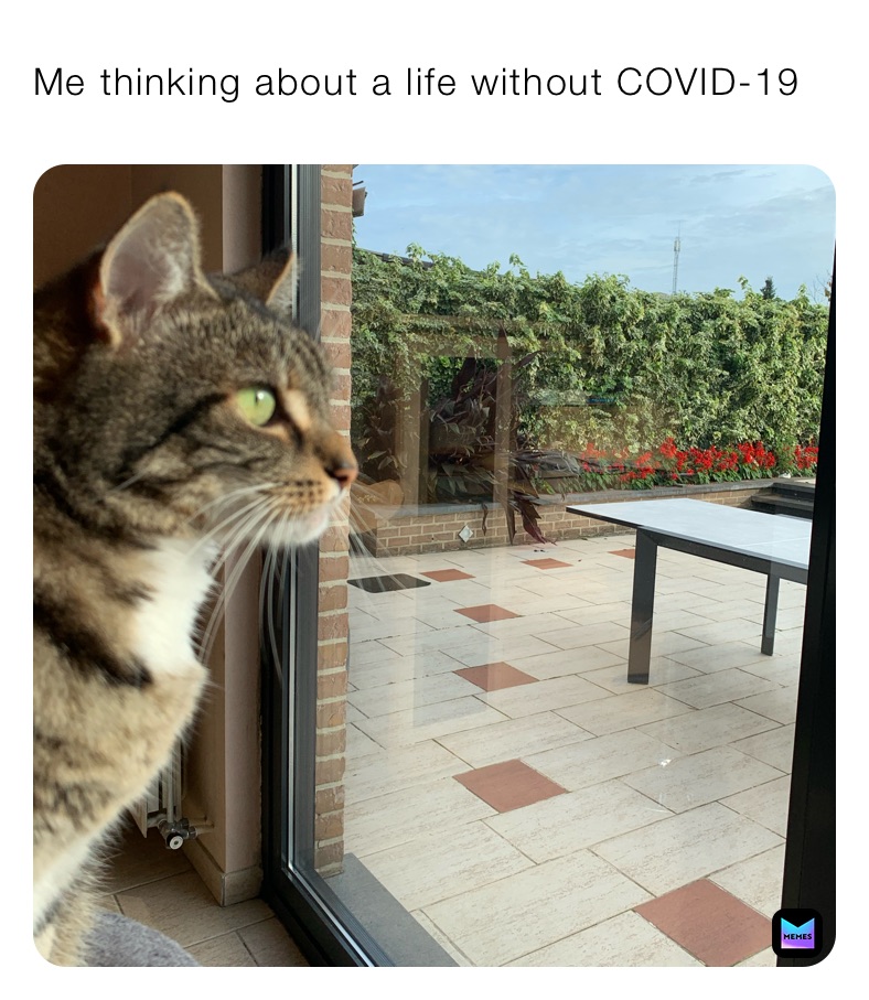 Me thinking about a life without COVID-19