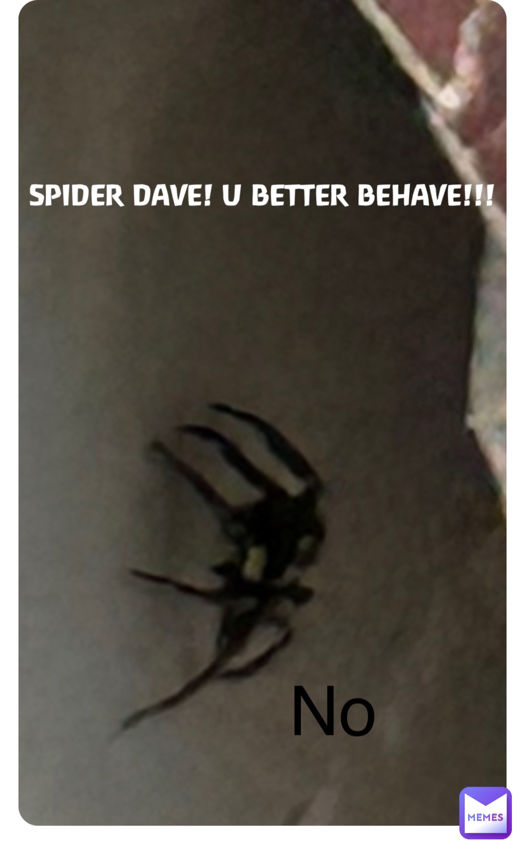 SPIDER DAVE! U BETTER BEHAVE!!! No