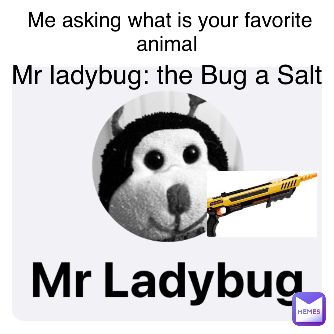 Me asking what is your favorite animal Mr ladybug: the Bug a Salt