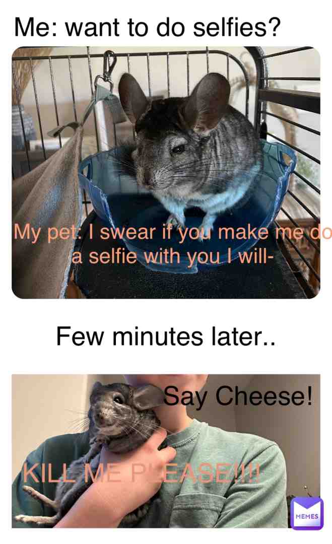He loved it!