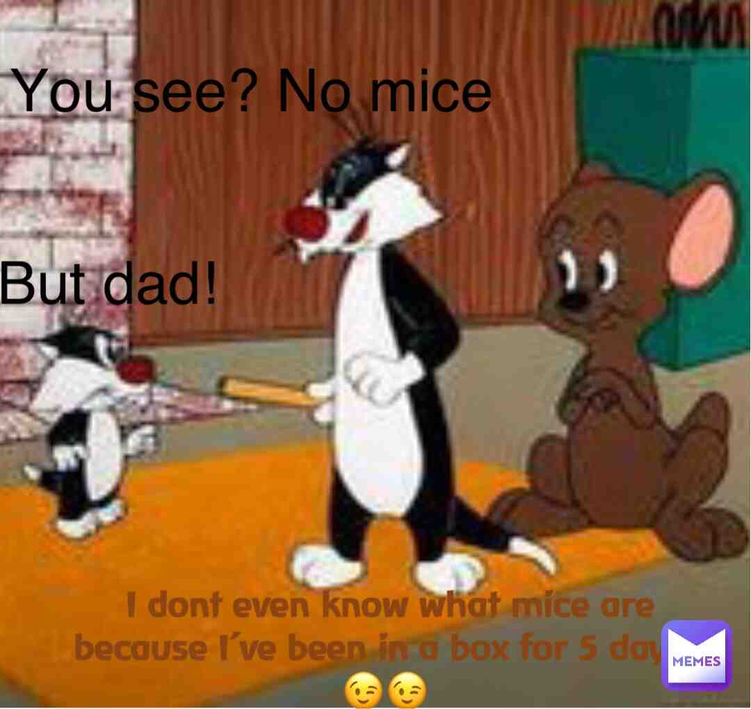 Thatβs dark π³π³ #babykangaroo #looneytunes #cat