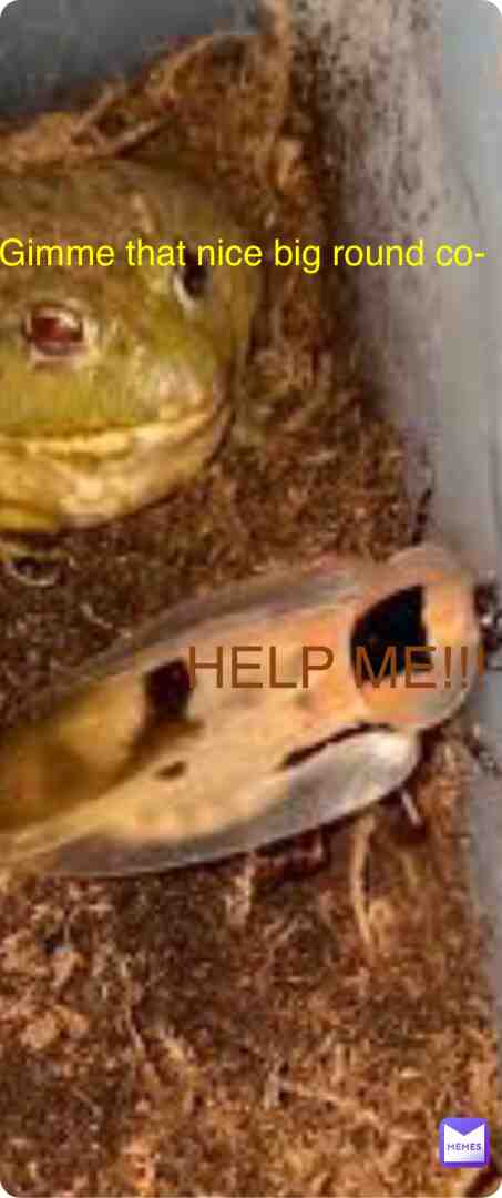 Sussy Jamal #jamal #frog #sus #cockroach
