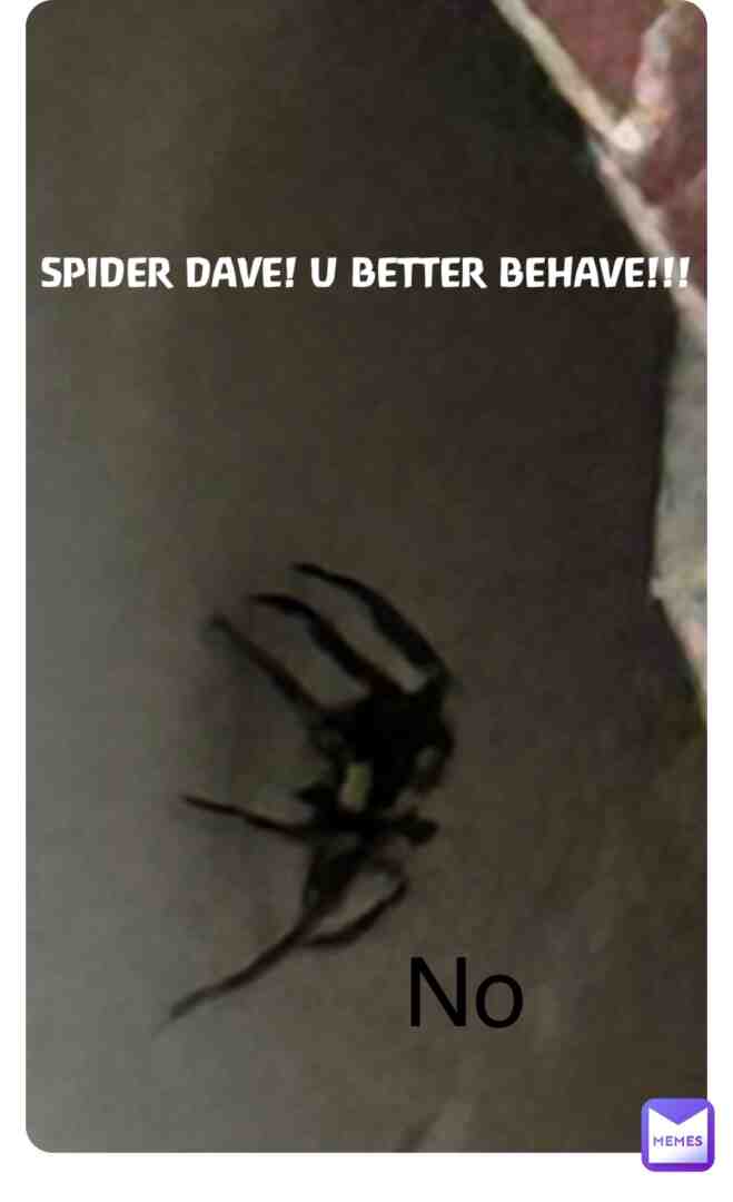 Spider Dave irl