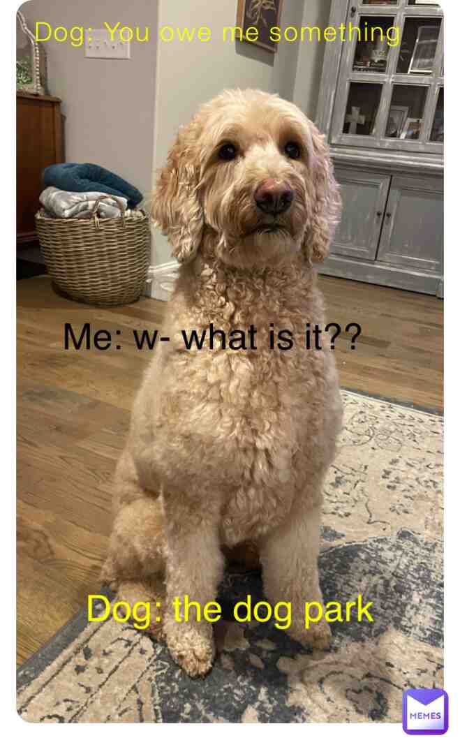 Oh noβ¦ π