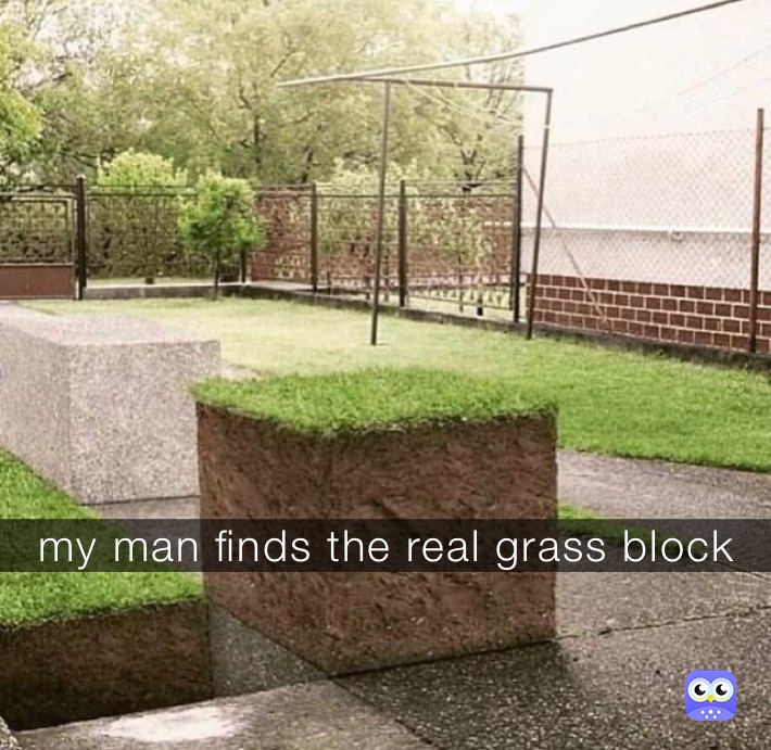 my man finds the real grass block