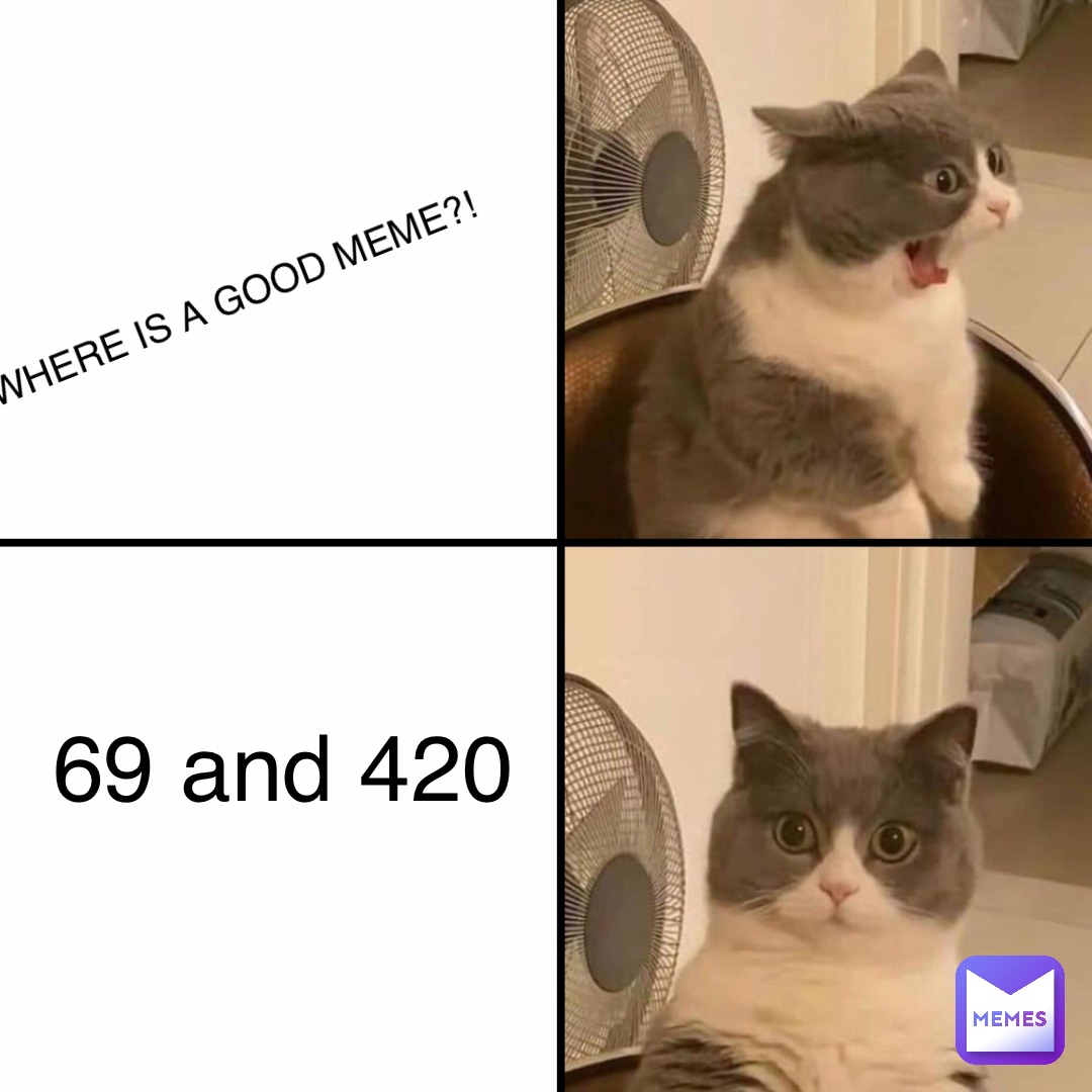 WHERE IS A GOOD MEME?! 69 and 420