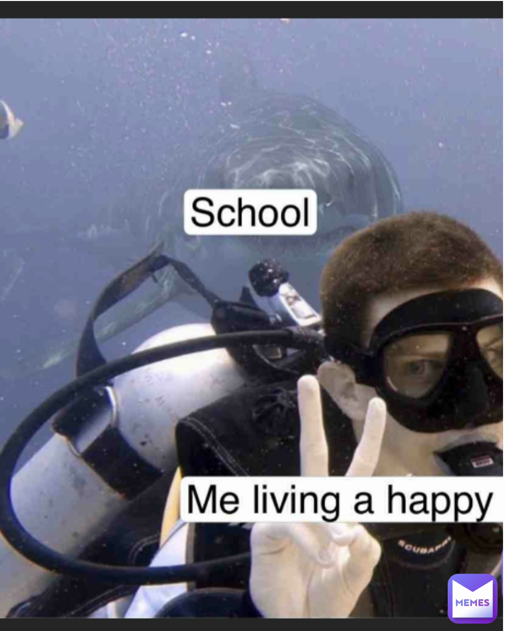 Meme by mohdrashid_1627957598