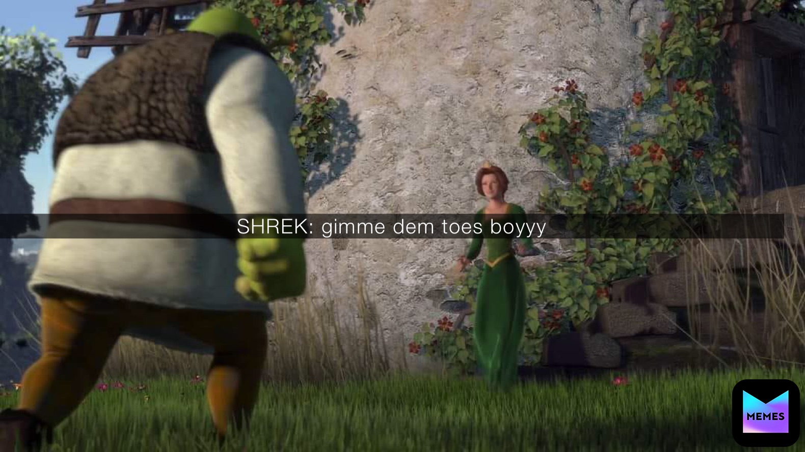 SHREK: gimme dem toes boyyy