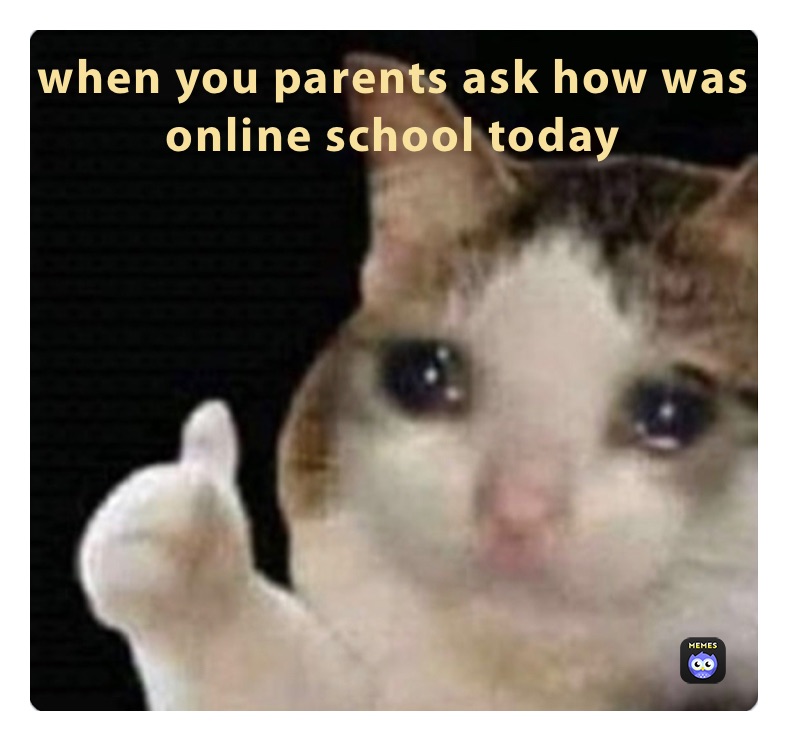 Meme Class Online