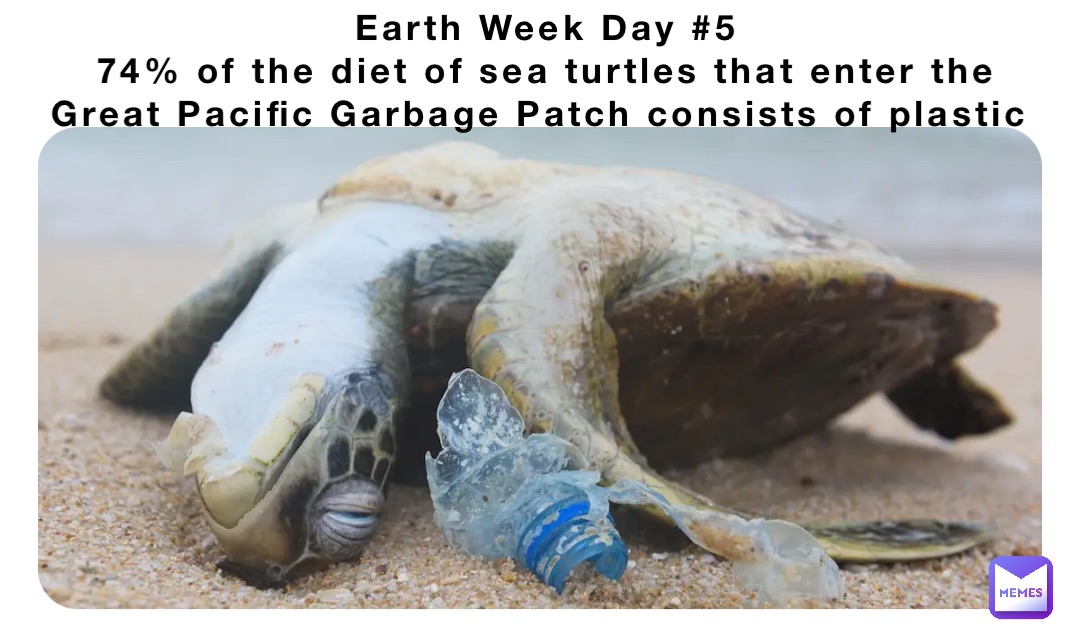 Earth Week Day #5 
74% of the diet of sea turtles that enter the Great Pacific Garbage Patch consists of plastic