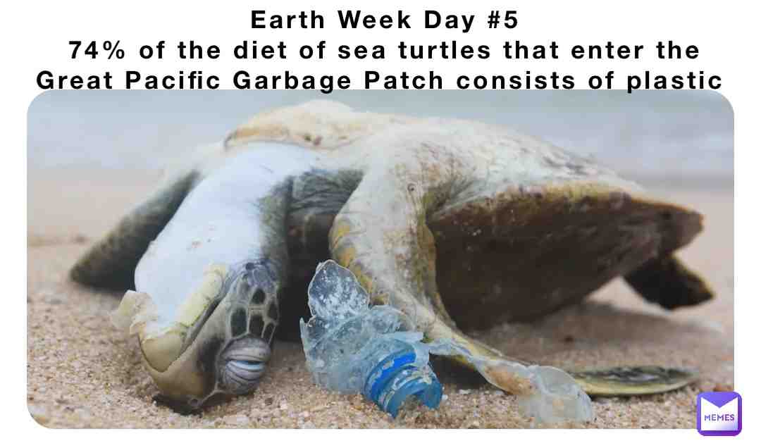 Plastic = death to sea and wild life #savetheplanet #earthweekwarrior #earthweekwarrior #savetheearth #savetheturtles #greatpacificgarbagepatch #earthday