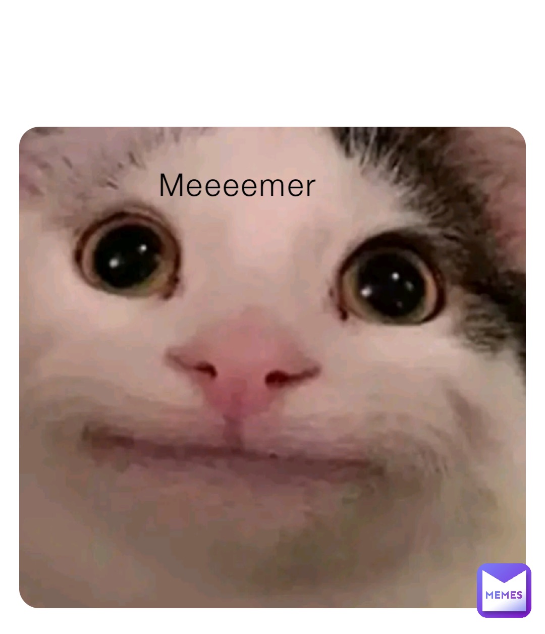 Meeeemer